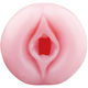【740円★数量限定】DEDEN(デデン)<お一人様1点限り>