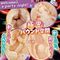 【730円★数量限定】うねヒダ パイバウンド<お一人様1点限り>